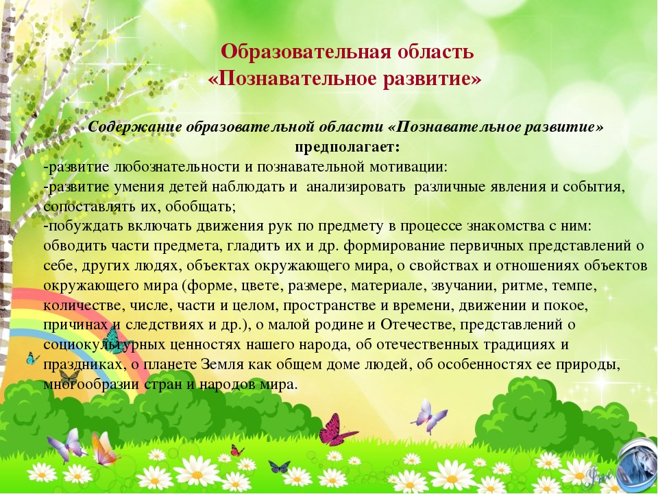 Презентация Рабочей программы возраст 2-3 лет