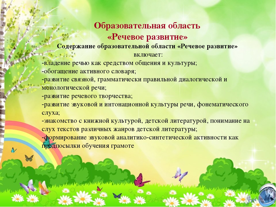 Презентация Рабочей программы возраст 2-3 лет