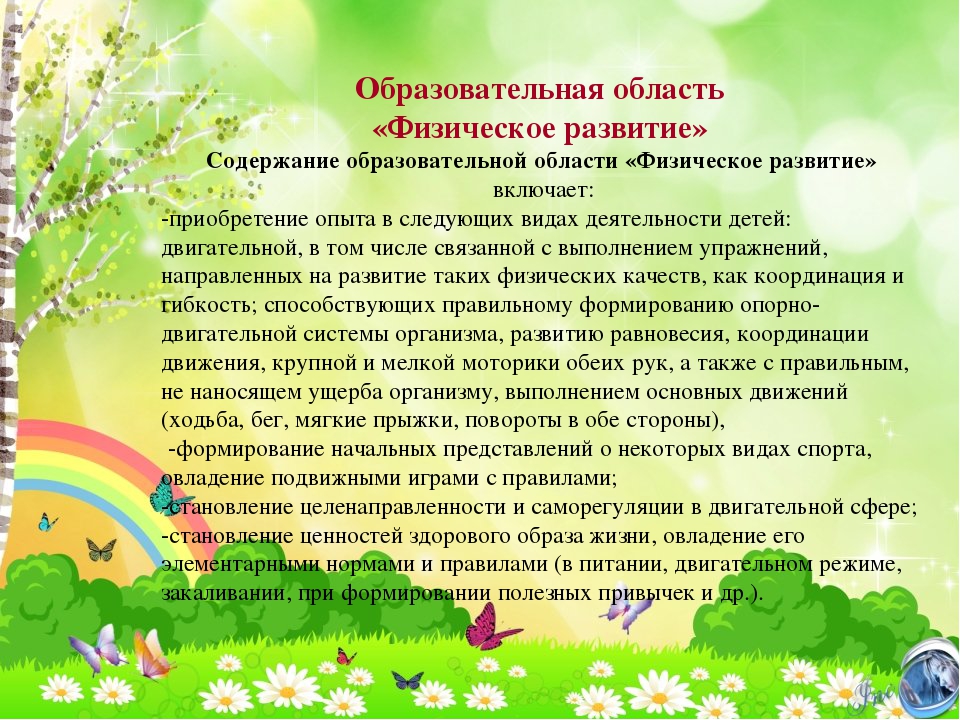 Презентация Рабочей программы возраст 2-3 лет