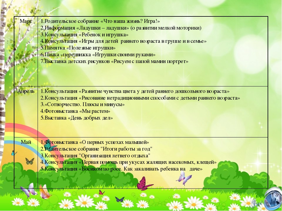Презентация Рабочей программы возраст 2-3 лет
