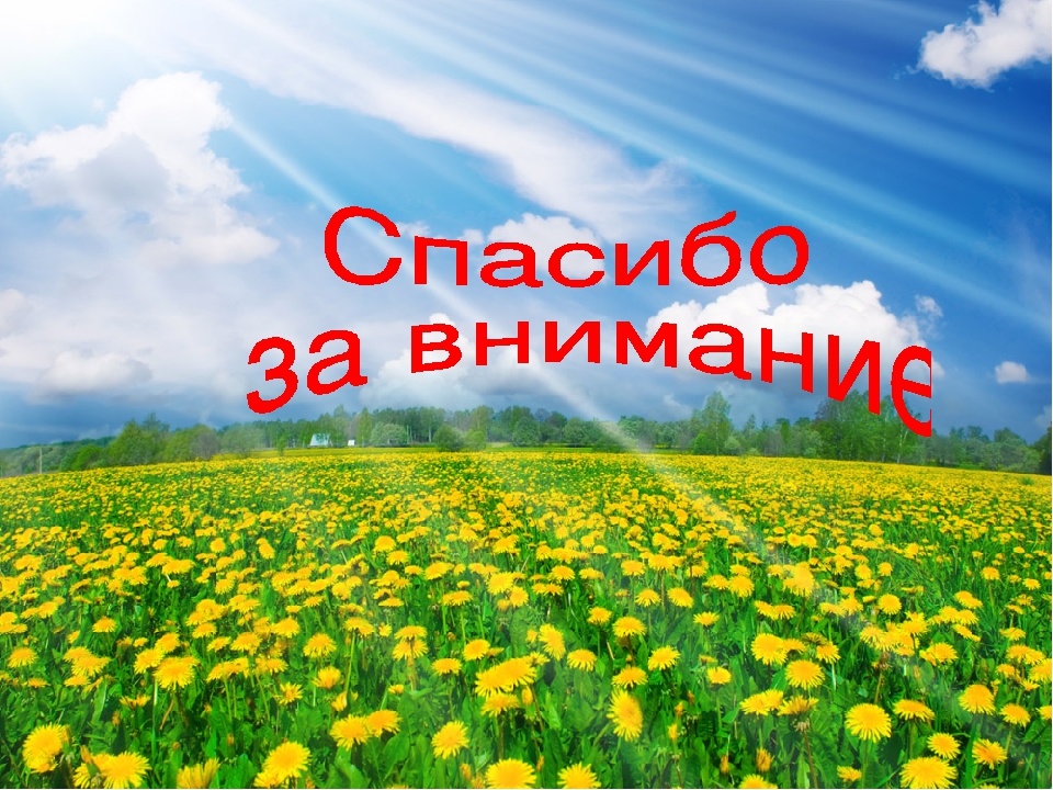 Физкультурно - оздоровительная программа "Спортивное лето"