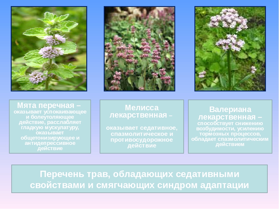 Консультация-презентация для родителей "В детский сад с радостью"
