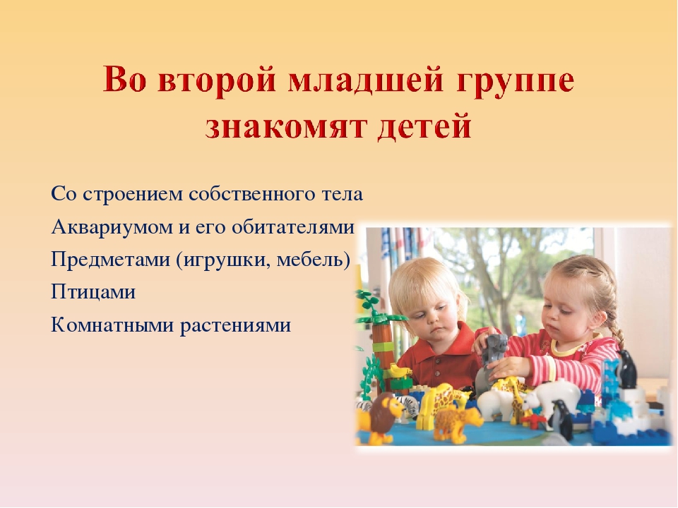 Презентация "Познавательное развитие детей - одно и важнейших направлений в работе с детьми дошкольного возраста"