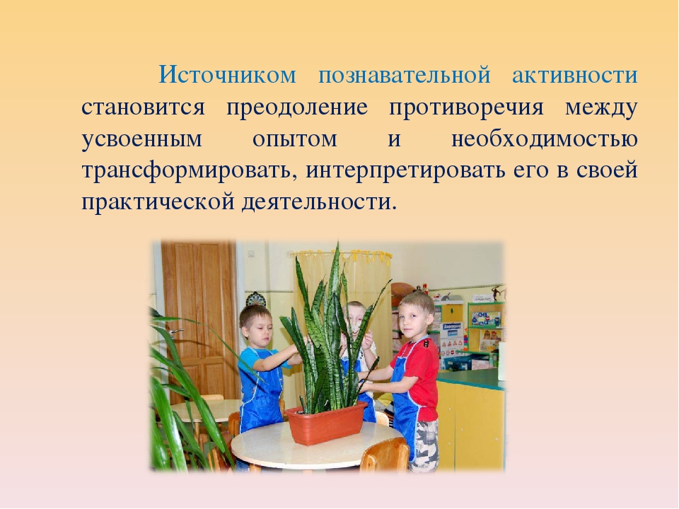 Презентация "Познавательное развитие детей - одно и важнейших направлений в работе с детьми дошкольного возраста"