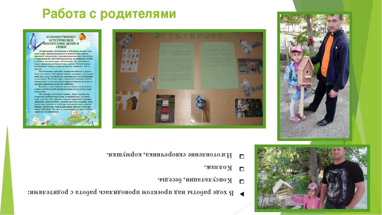 Познавательно-творческий проект «Птица, как символ весны в творчестве русских художников»