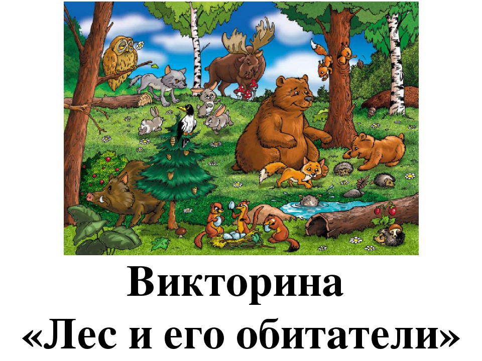Викторина "Лес и его обитатели"