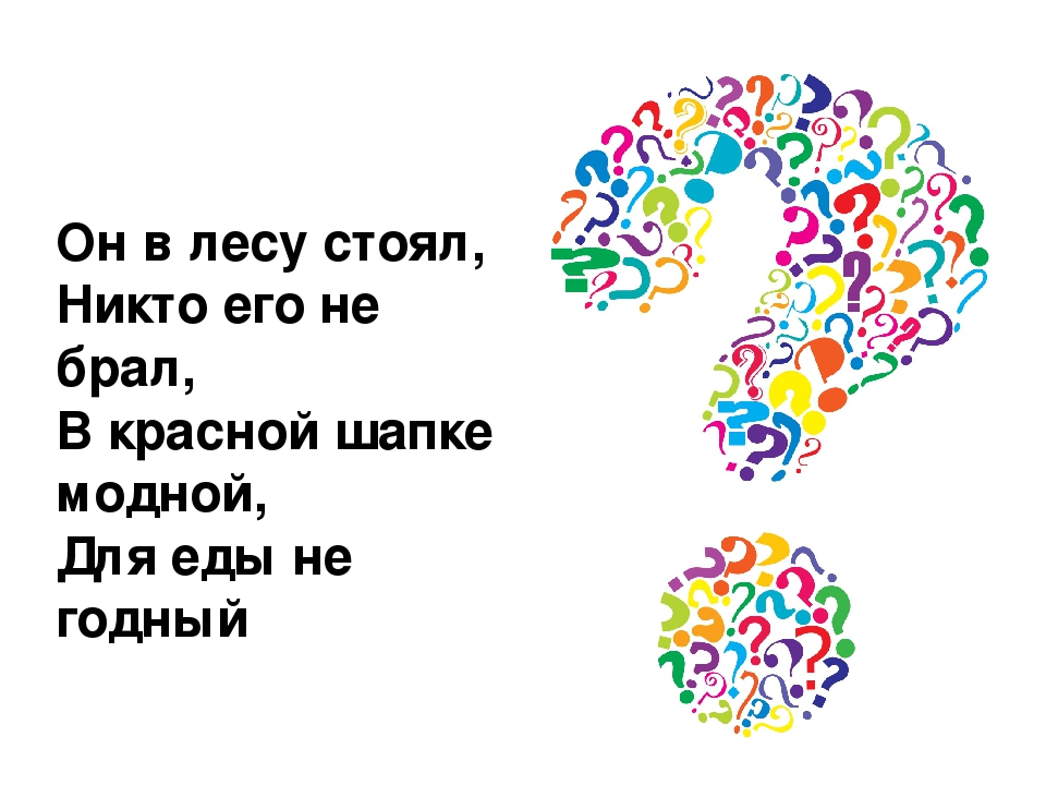 Викторина "Лес и его обитатели"