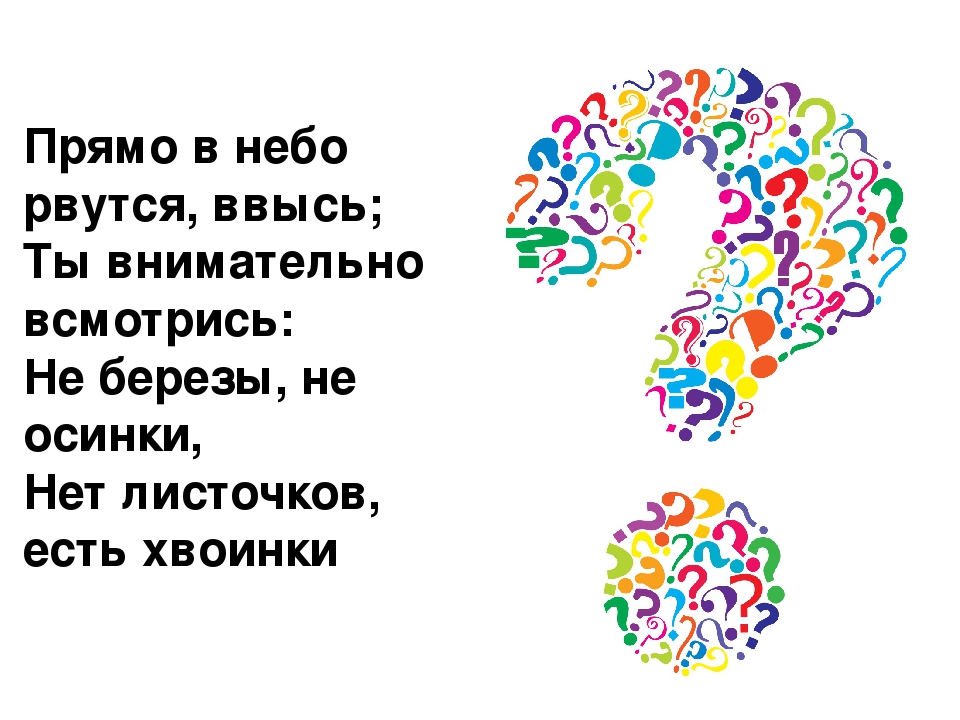 Викторина "Лес и его обитатели"