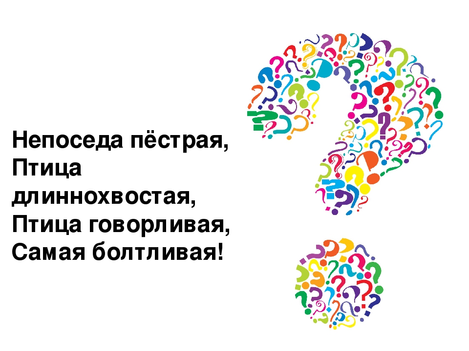 Викторина "Лес и его обитатели"