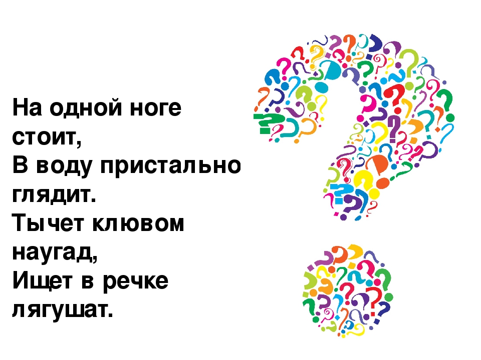 Викторина "Лес и его обитатели"