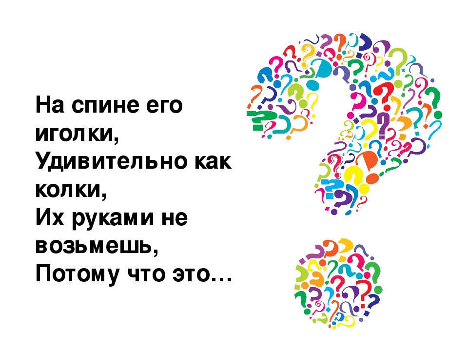 Викторина "Лес и его обитатели"