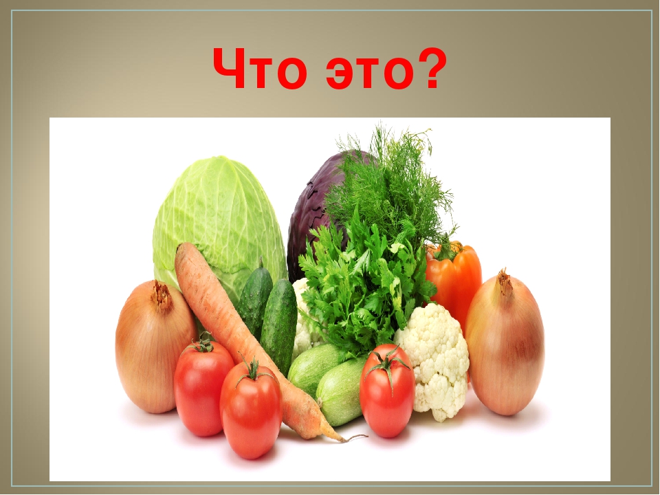 Викторина для детей старшего дошкольного возраста "ЭРУДИТ"