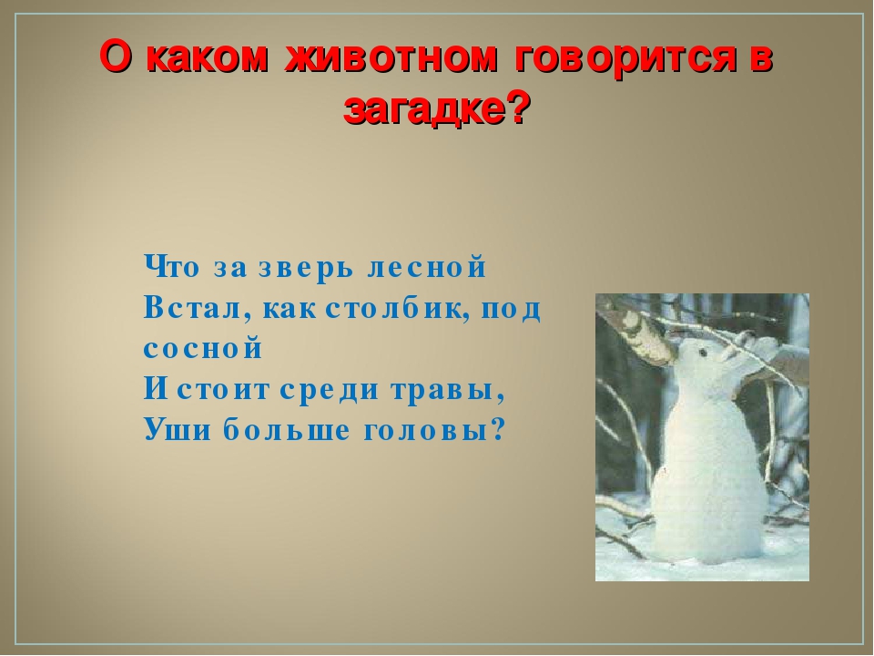 Викторина для детей старшего дошкольного возраста "ЭРУДИТ"