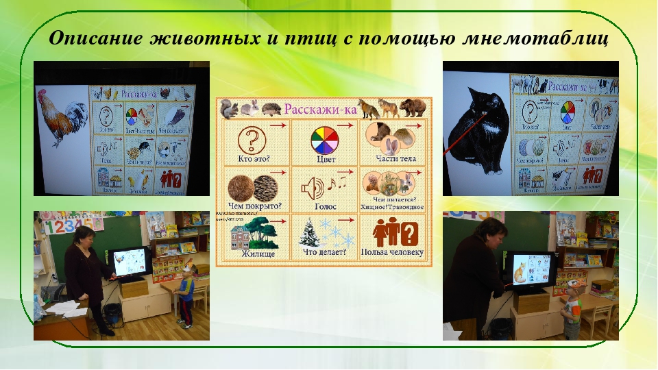 Презентация опыта работы "Использование мнемотехнологии в развитии речи детей"