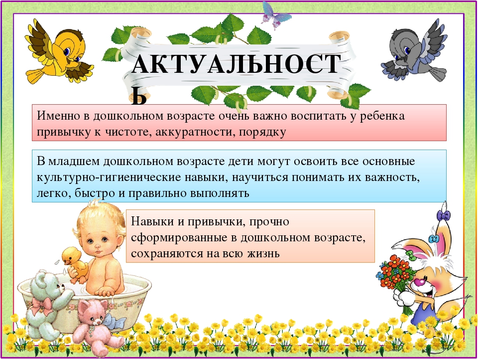 Презентация проекта "Чистюлька" во второй младшей группе"