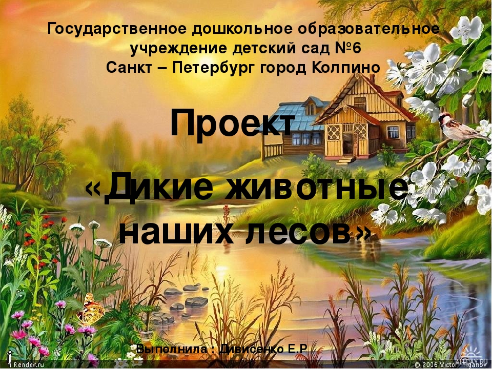 Паспорт проекта средняя группа