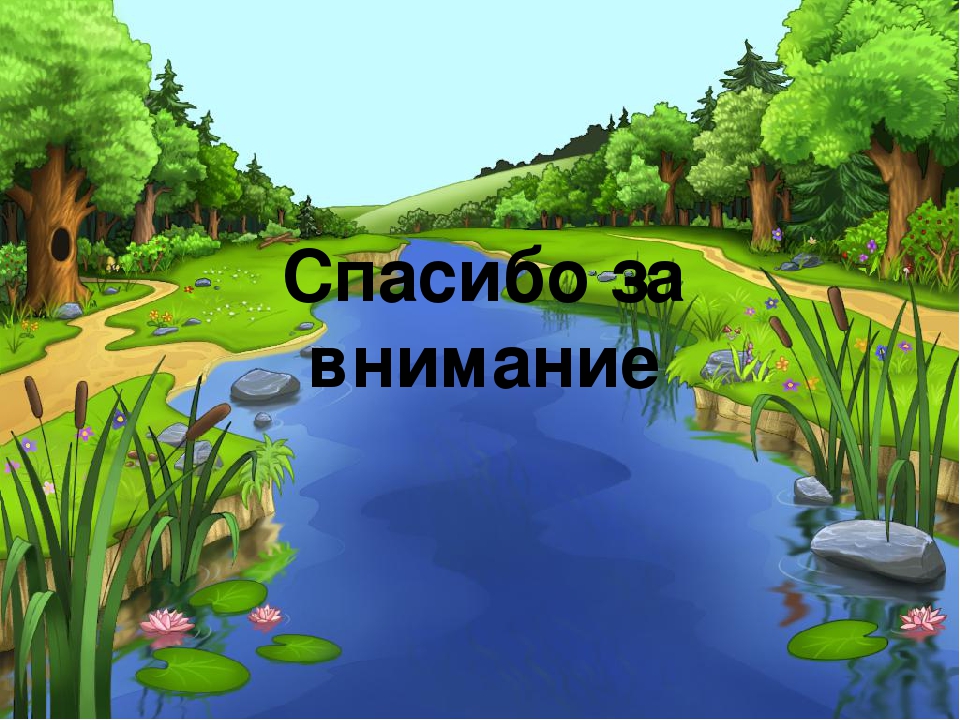 Паспорт проекта средняя группа