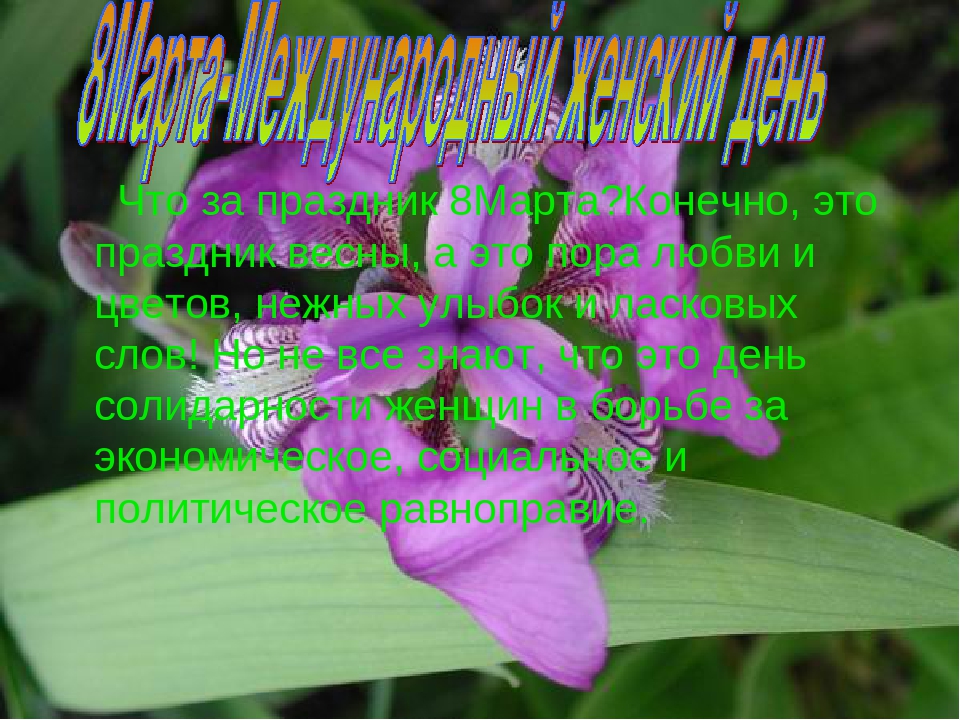 Презентация о празднике 8 марта.