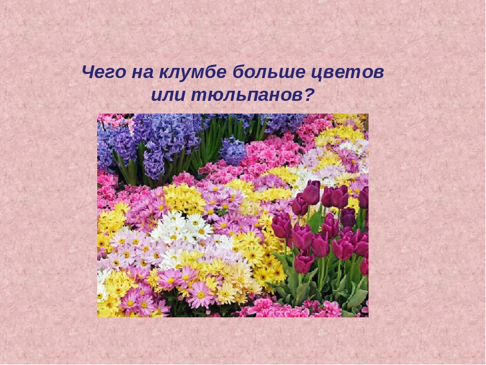 Интелектуальная игра на 8 Марта.