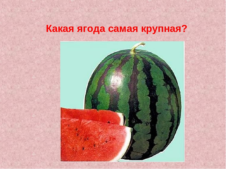 Интелектуальная игра на 8 Марта.