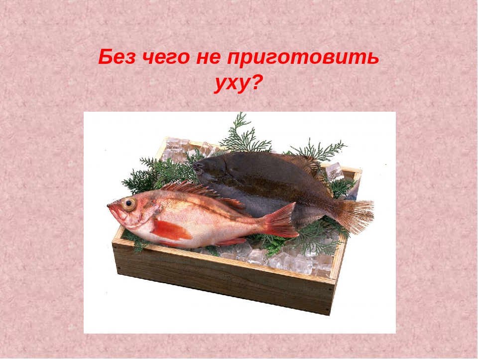 Интелектуальная игра на 8 Марта.