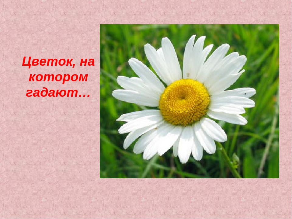 Интелектуальная игра на 8 Марта.