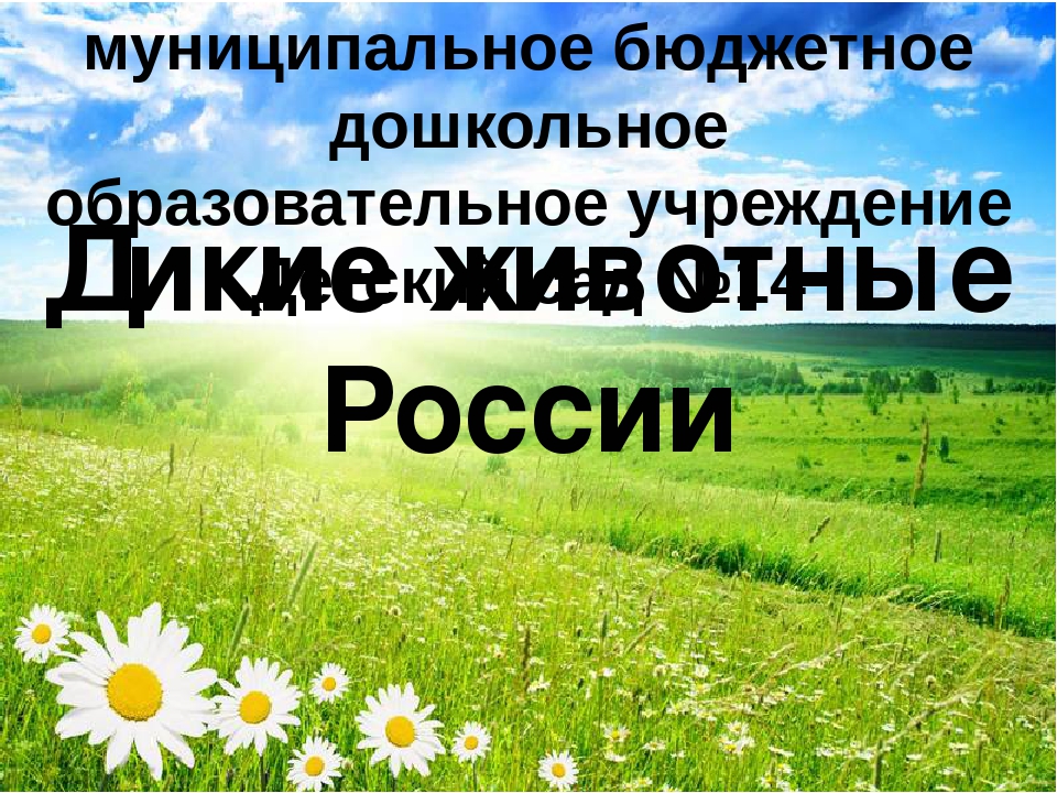 Презентация "Путешествие в лес"