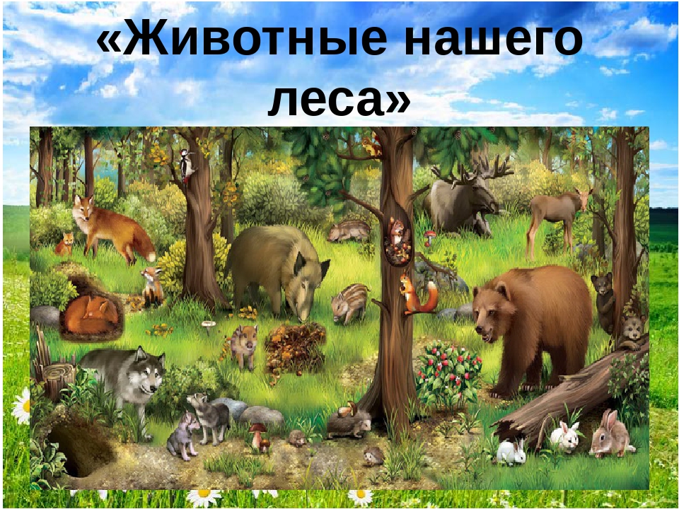 Презентация "Путешествие в лес"