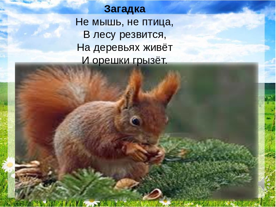 Презентация "Путешествие в лес"