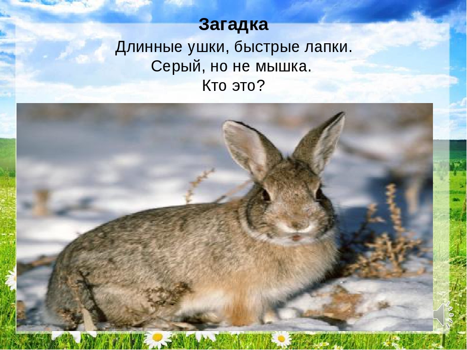 Презентация "Путешествие в лес"