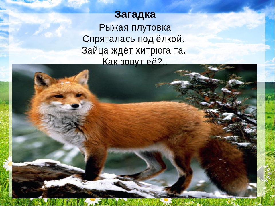 Презентация "Путешествие в лес"