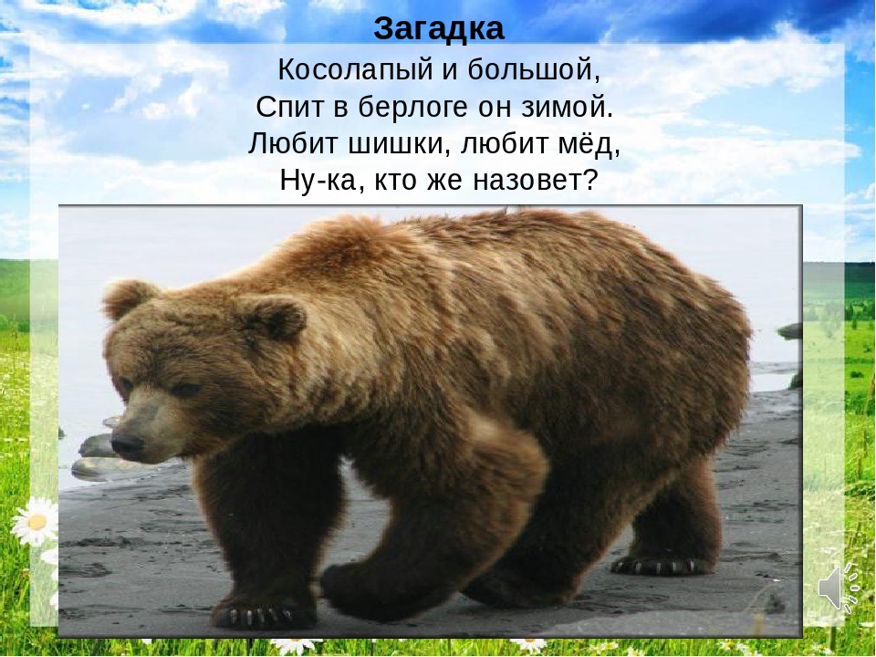 Презентация "Путешествие в лес"