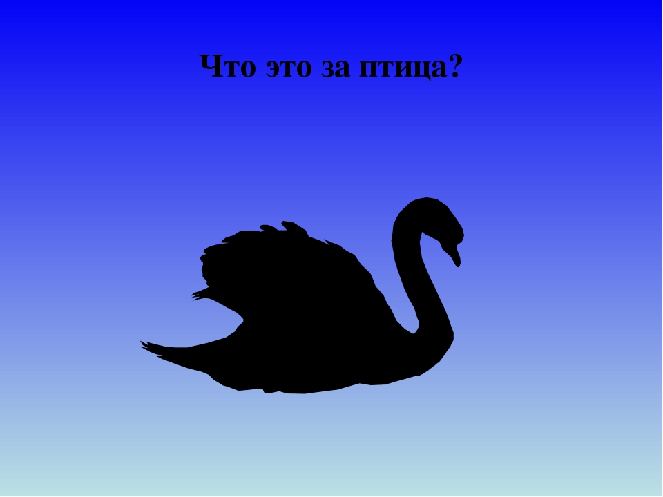 Презентация для дошкольников "Отгадай птицу"