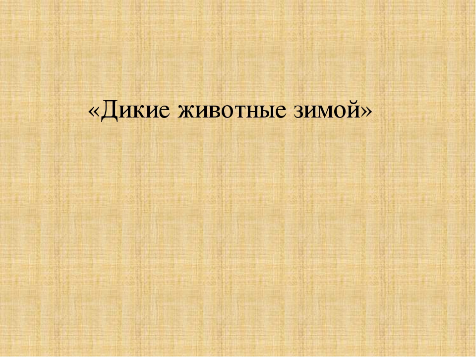 Дикие животные зимой. Презентация