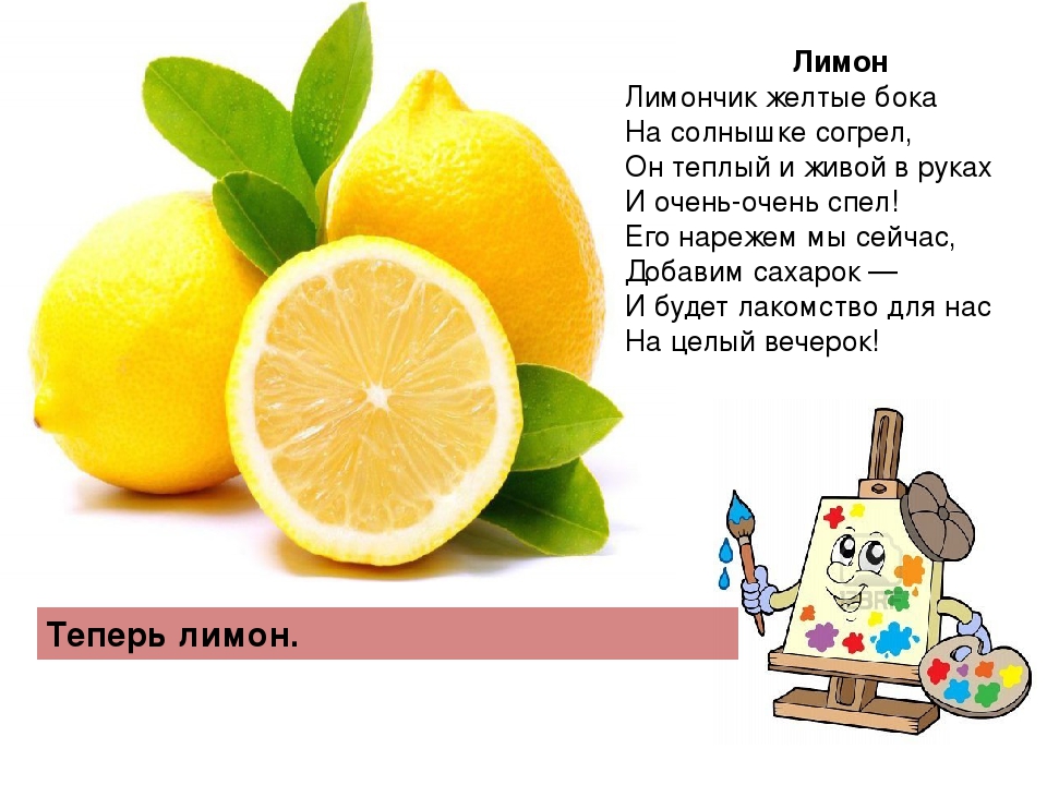 Серия игр с "Мотиком"