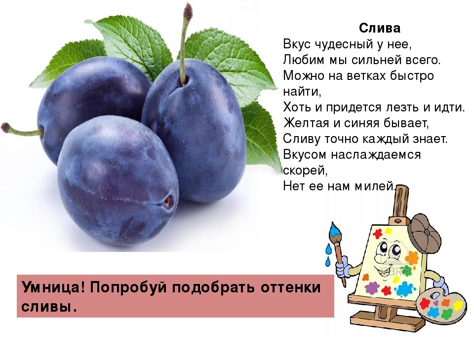 Серия игр с "Мотиком"