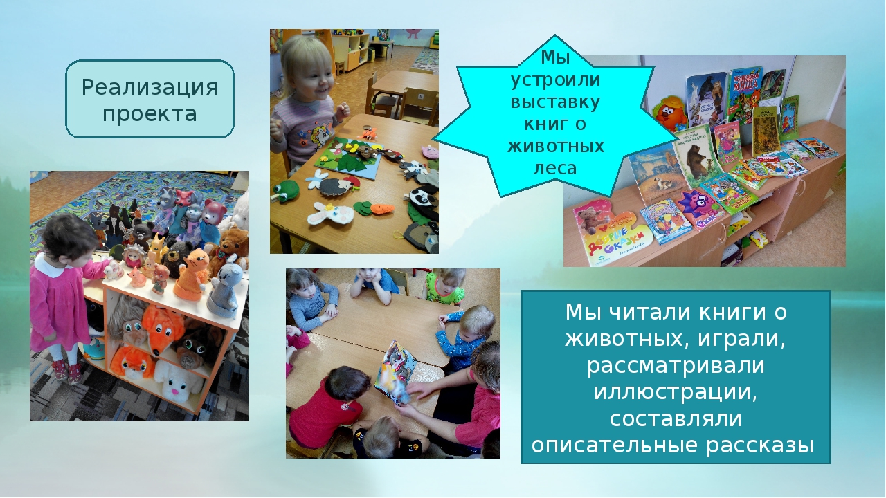 Проект 1 младшая группа "Животные леса"