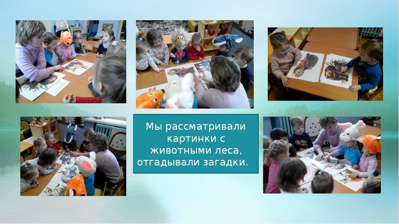 Проект 1 младшая группа "Животные леса"