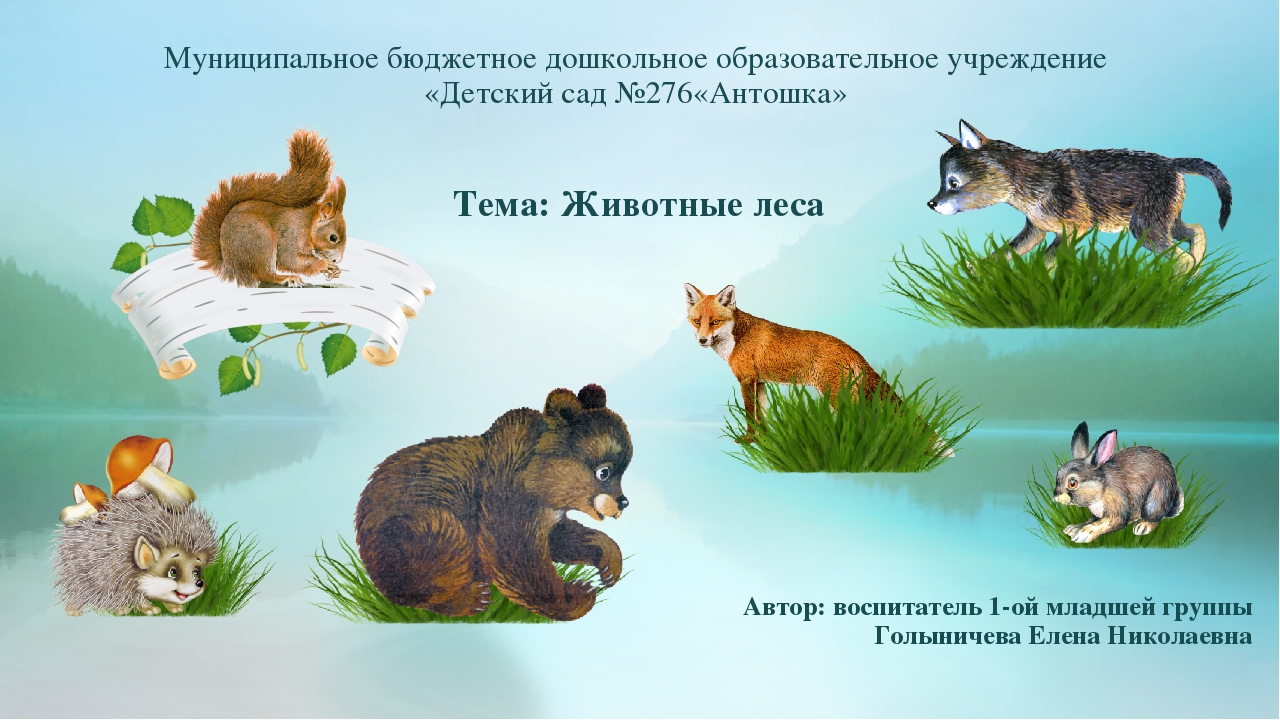 Проект 1 младшая группа "Животные леса"