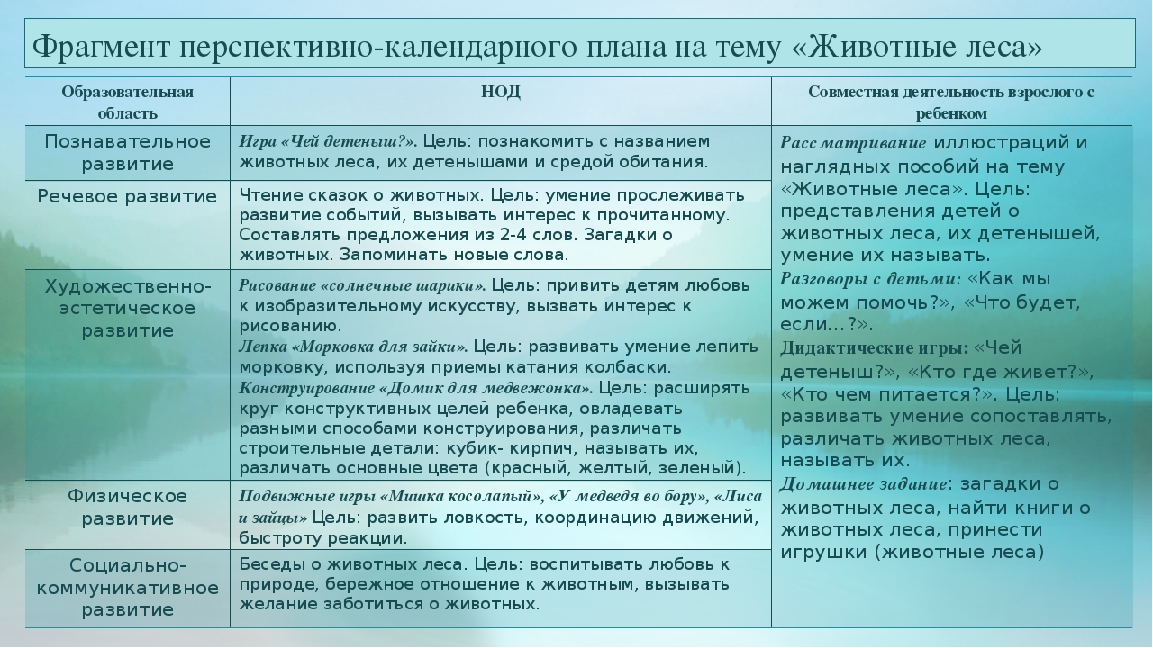 Проект 1 младшая группа "Животные леса"