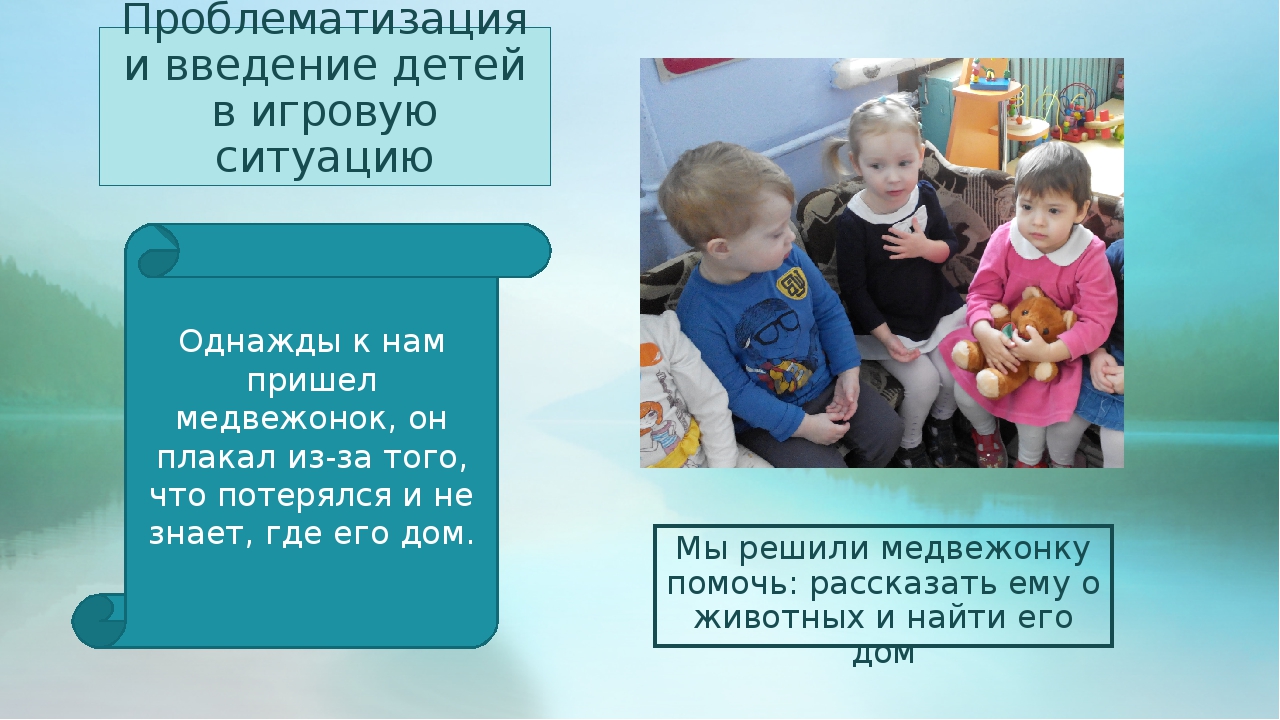 Проект 1 младшая группа "Животные леса"