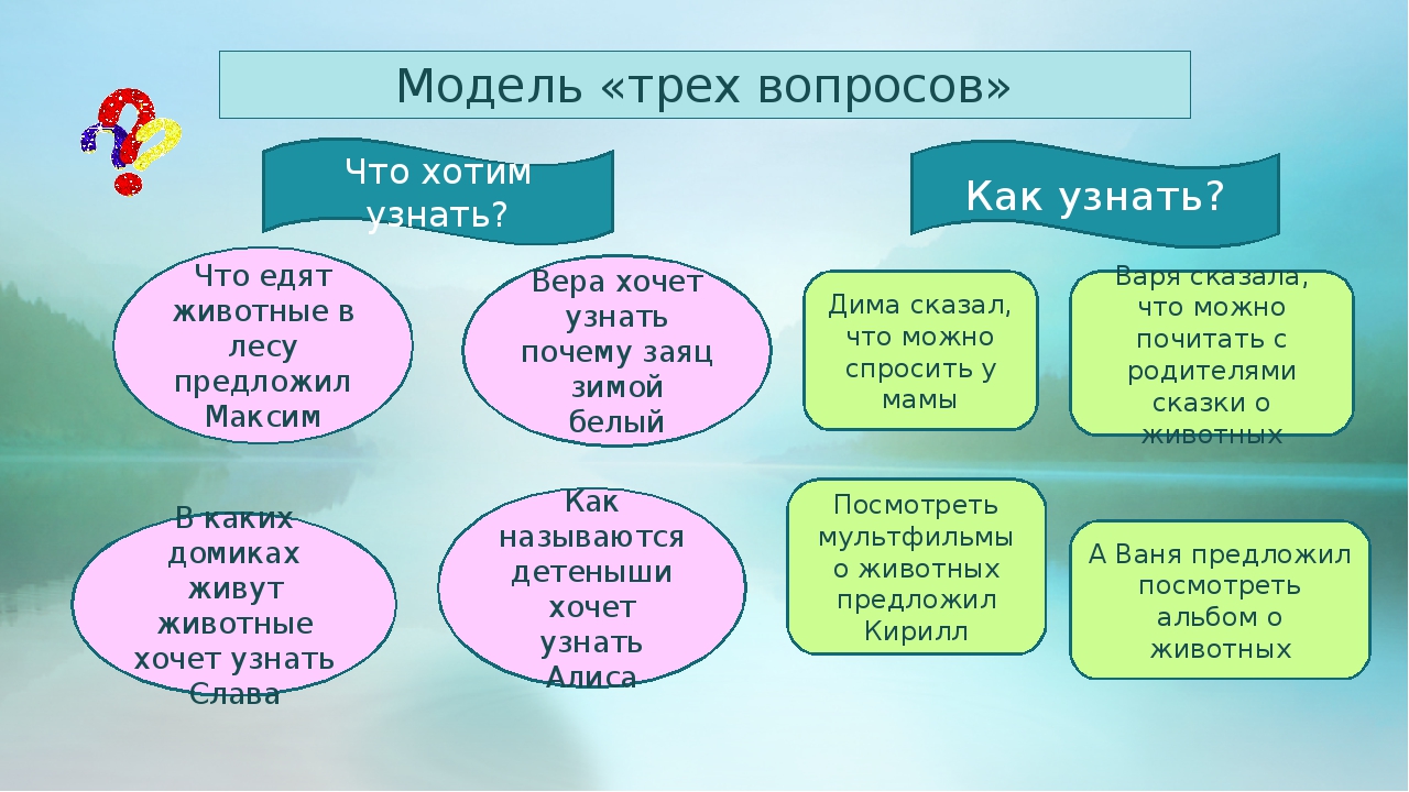 Проект 1 младшая группа "Животные леса"