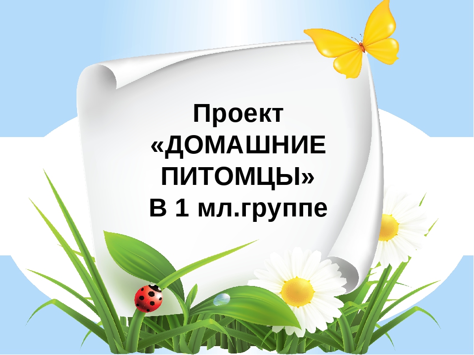 Презентация группы дошкольного образования"Ромашки"