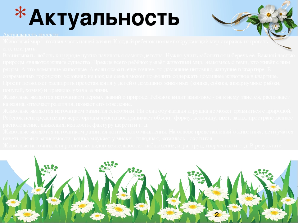 Презентация группы дошкольного образования"Ромашки"