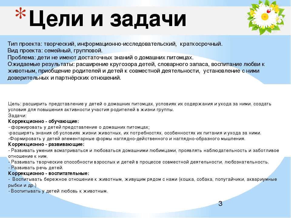 Презентация группы дошкольного образования"Ромашки"