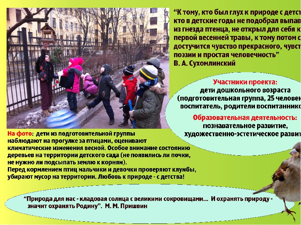Презентация экологического проекта в подготовительной группе "Юные экологи"
