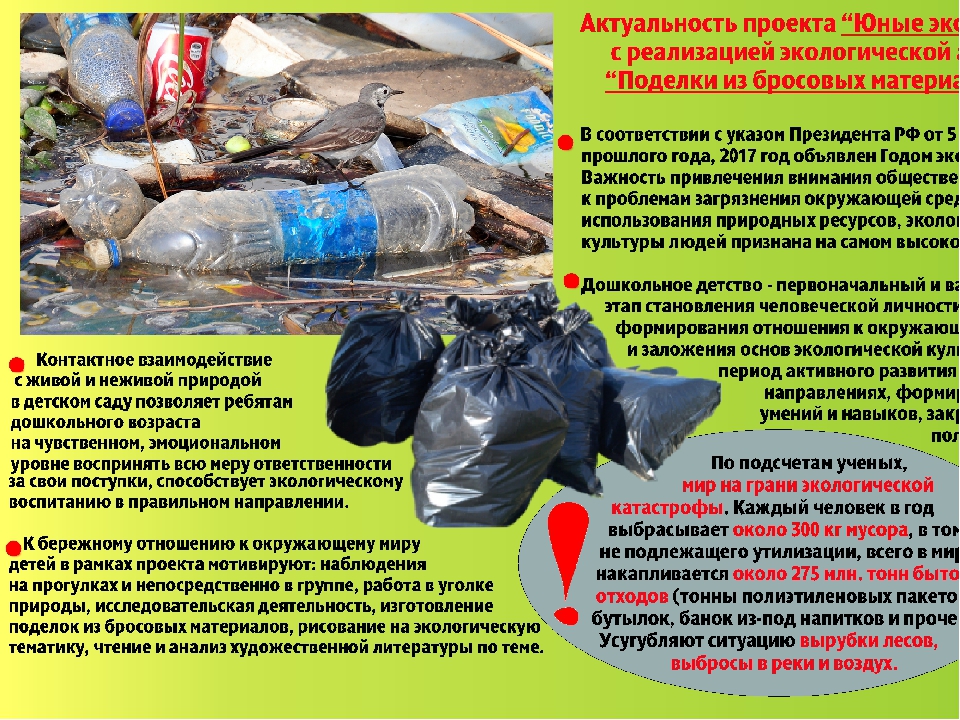 Презентация экологического проекта в подготовительной группе "Юные экологи"