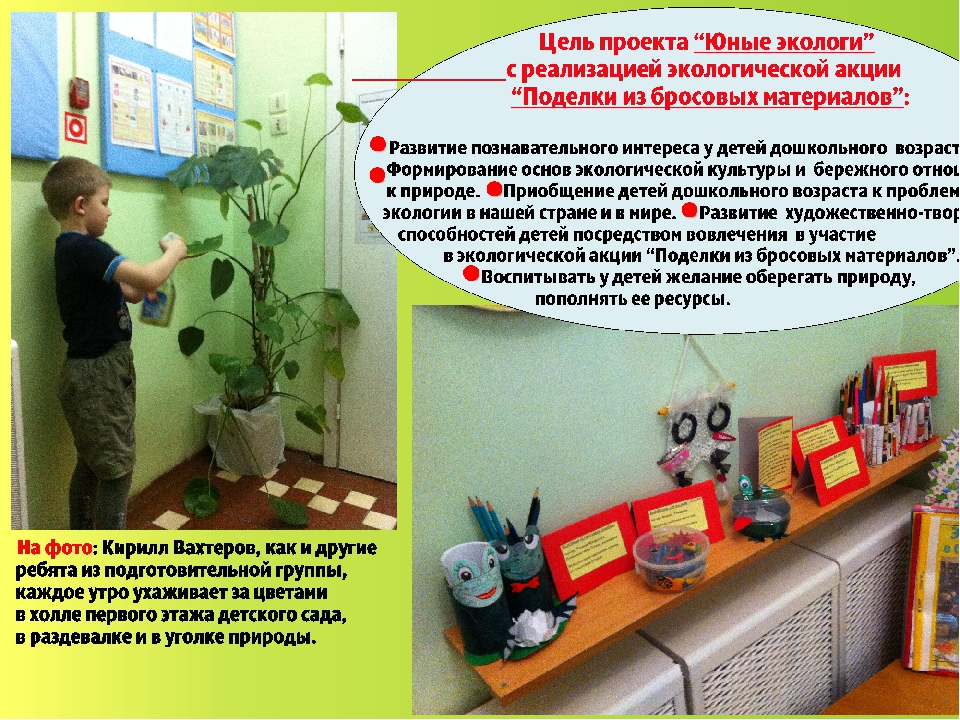 Презентация экологического проекта в подготовительной группе "Юные экологи"