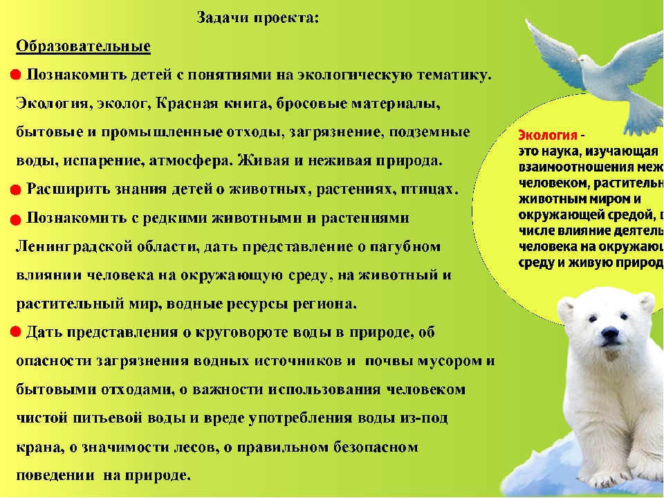 Презентация экологического проекта в подготовительной группе "Юные экологи"