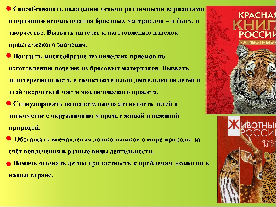 Презентация экологического проекта в подготовительной группе "Юные экологи"